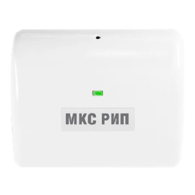 МКС РИП 
