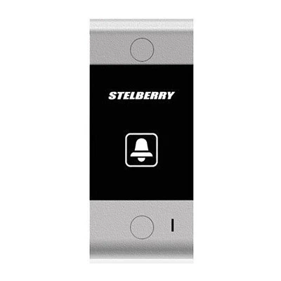 S-100