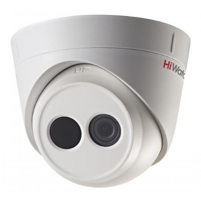 DS-I113 (6 mm)