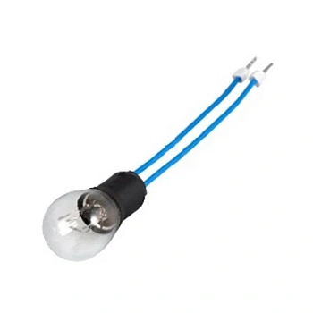 LBN-01