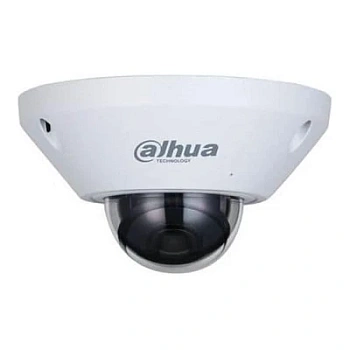 DH-IPC-EB5541P-AS