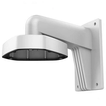 DS-1273ZJ-DM25(M1)