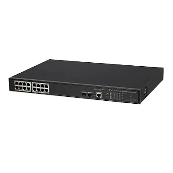 2NSM16G-2S
