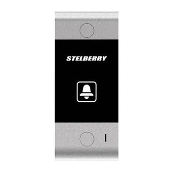 S-100